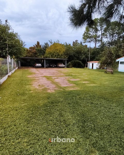 Urbano - Terreno La Tatenguita (2)